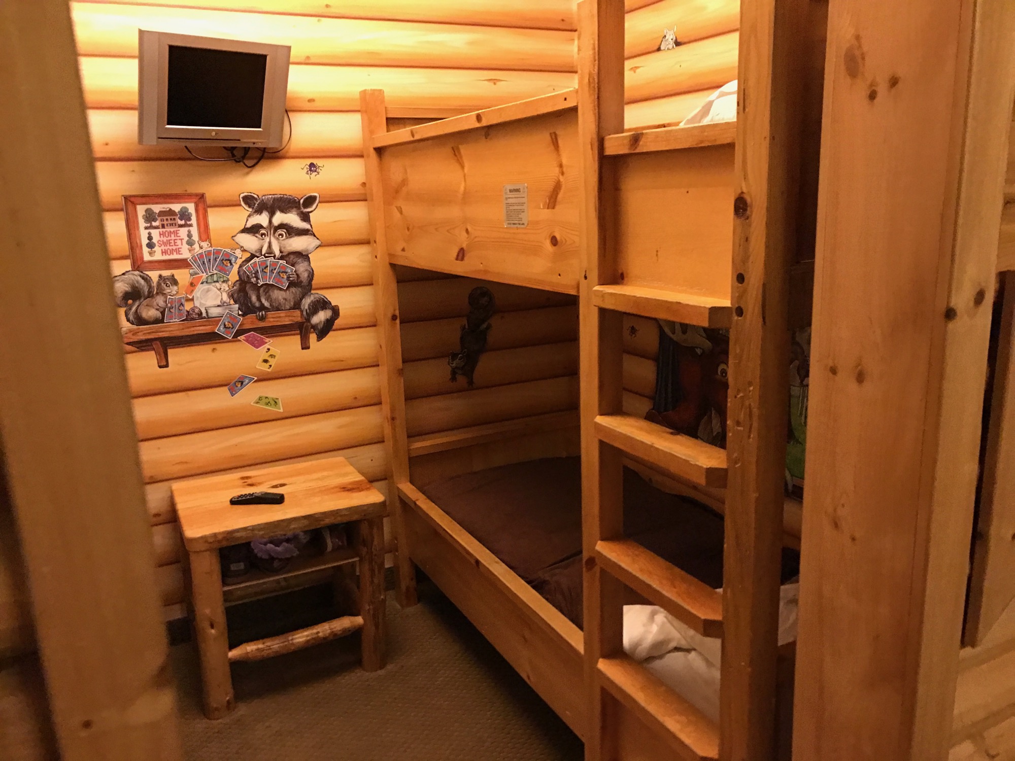 12-29-2016-great-wolf-lodge-5 photo