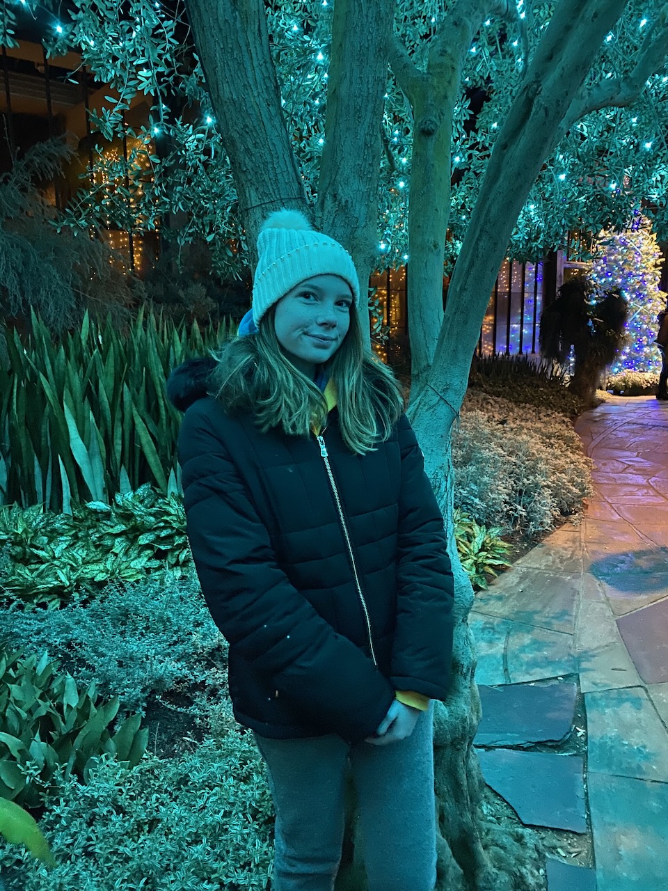 2019-12-06-holiday-happenings-2019-12 photo