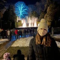 Longwood Gardens Christmas Lights