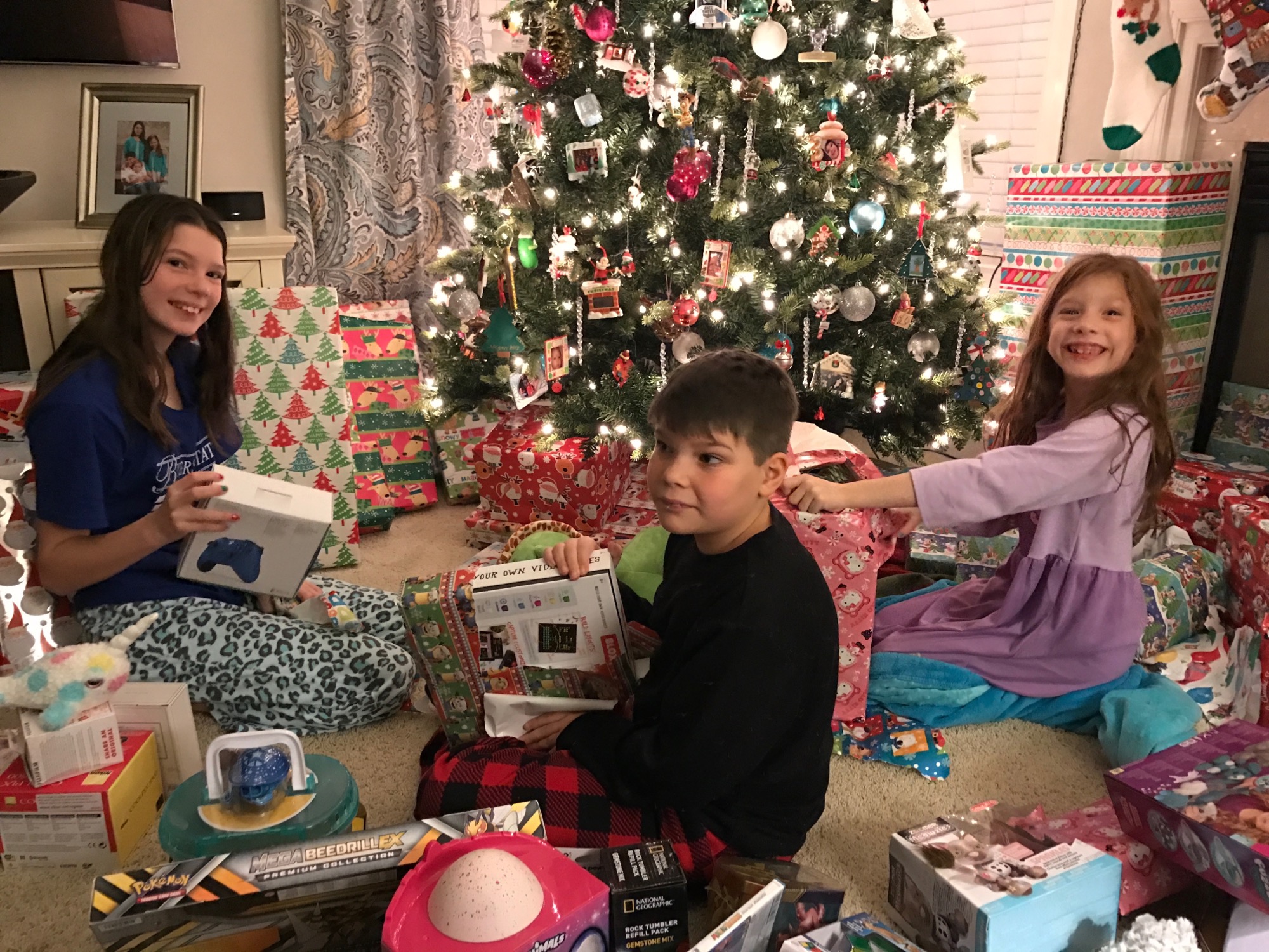 12-25-2016-xmas-3 photo