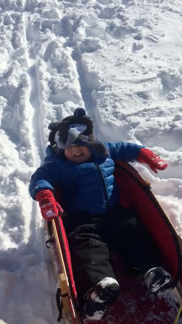 01-23-2016-snowed-in-8 photo