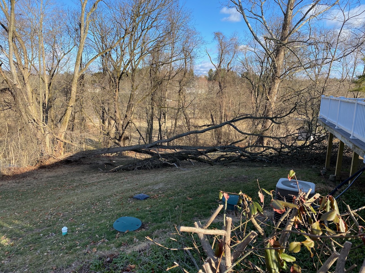 2020-03-08-timber-02 photo